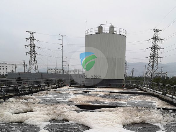 Industrial sewage treatment plant