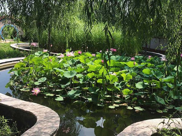 Shandong Tianlang Environmental After Garden